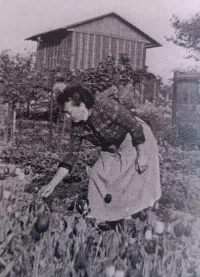 kolonie č.72, rok  1960